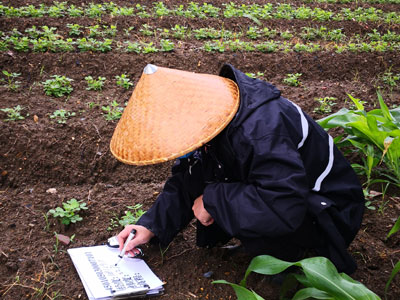 农用地土壤检测